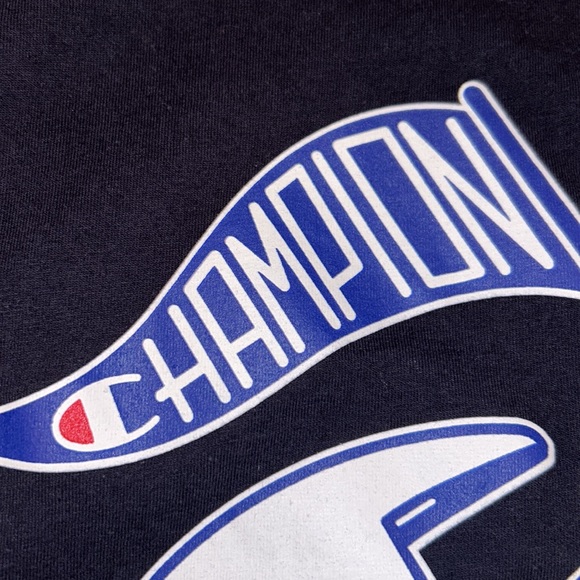 Lot of 2 CHAMPION T-SHIRTS🏆One Black & One Soft Green⭐️Almost LIKE NEW! Mens Lg - Picture 6 of 12